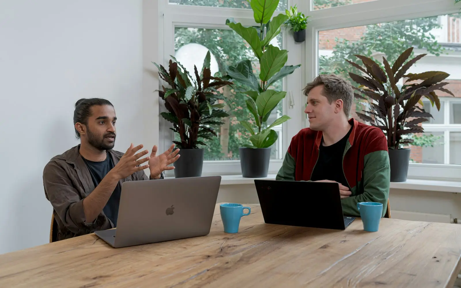 Two colleagues talking over laptops at a wooden table by a window with plants