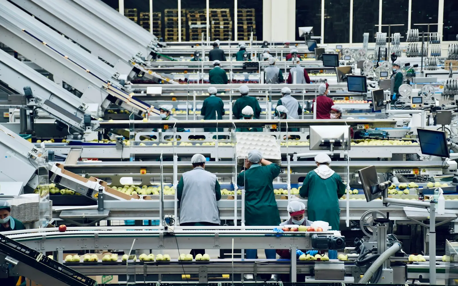 Workers along an automated conveyor line in a bright packing facility